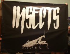 Molinó (PVC) egyedi grafikával, 200x150 cm